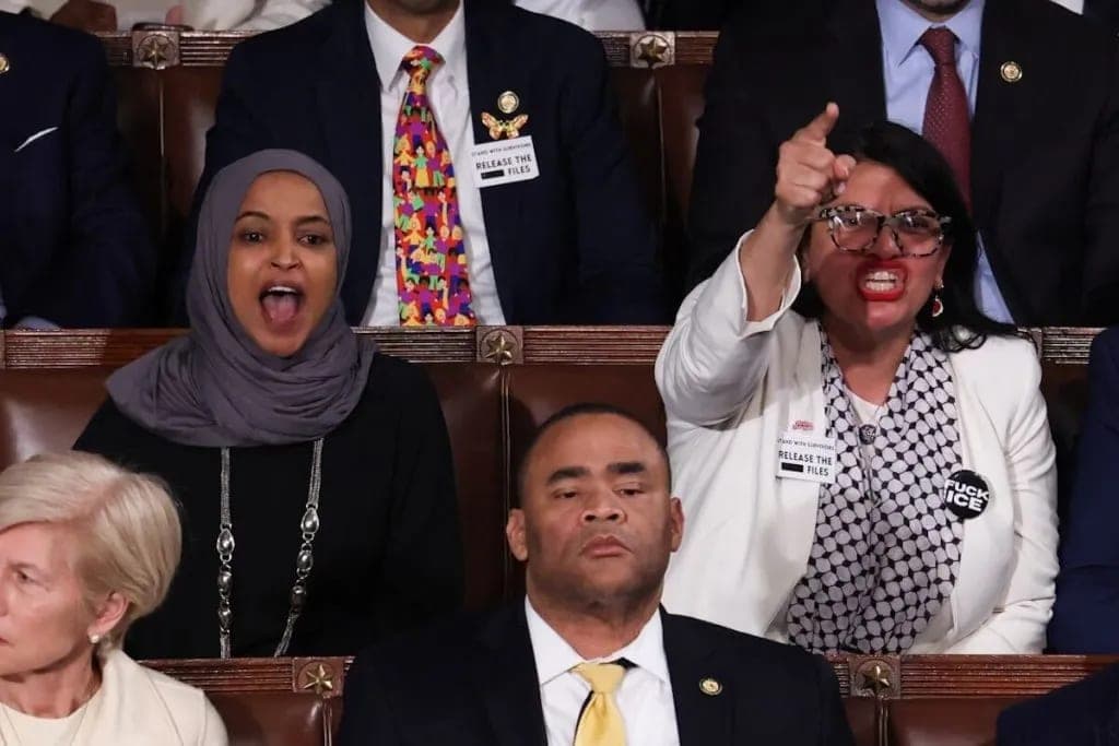 Trump calls for 'deranged' Tlaib and Omar to be 'institutionalized'
