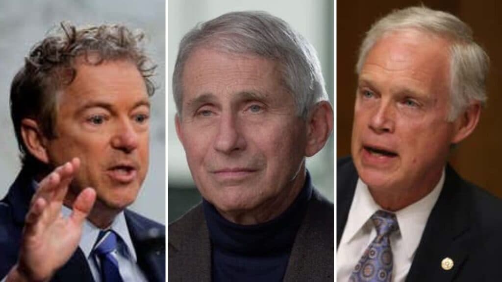 The GOP Wants To Take Down Fauci—and Is Putting Pregnant Women in the Crossfire