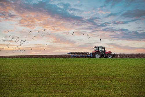 Congressman Jake Ellzey Votes in Favor of the Farm, Food, and National Security Act of 2026 to Strengthen American Agriculture and Rural Communities
