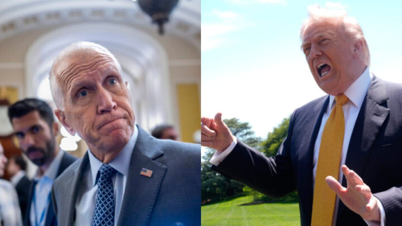'QUITTER!' Trump Unleashes on 'Weak' Republican Thom Tillis