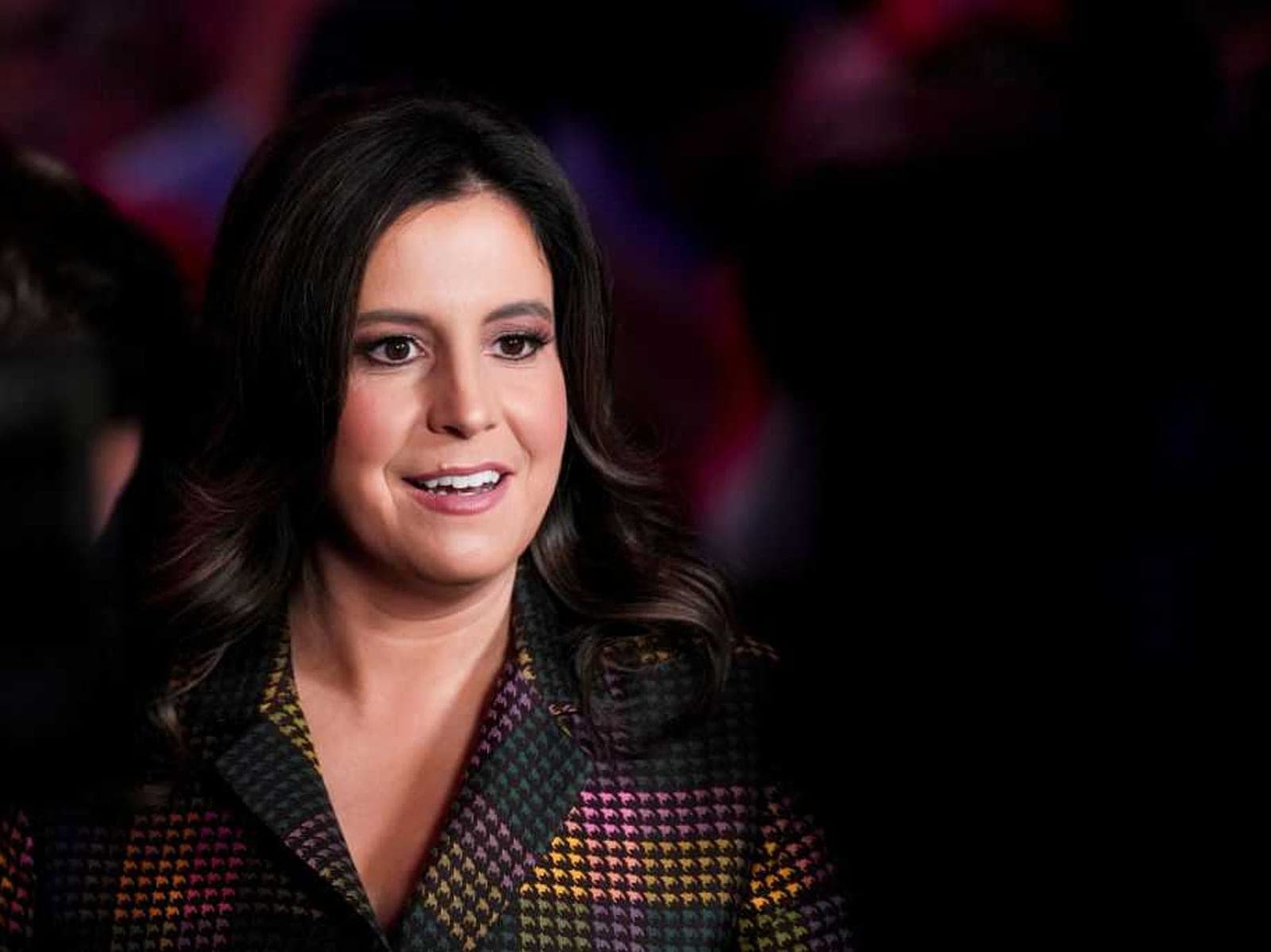 'Unnecessary and protracted': Elise Stefanik drops out of New York governor's race
