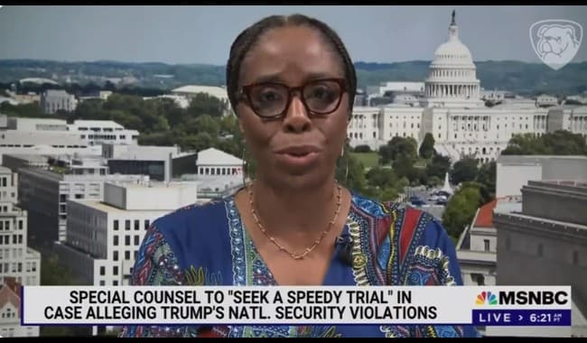 WOW: Check Out Just One of the Texts Between Stacey Plaskett and Her 'Constituent' Jeffrey Epstein (Pic)