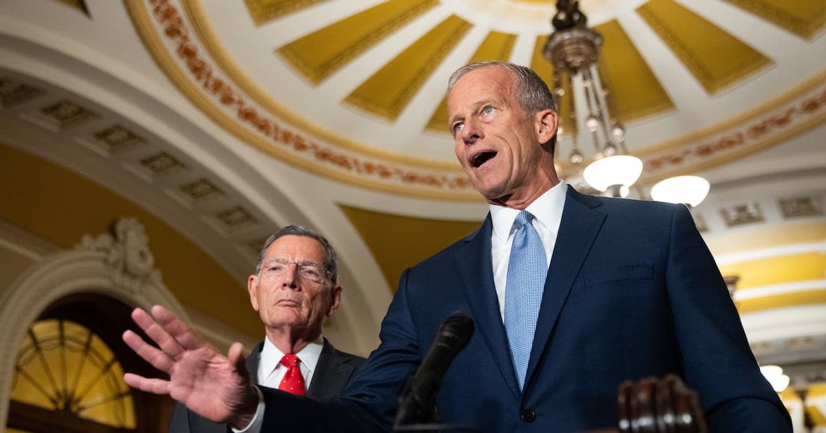 Republican leaders rally behind Mike Collins amid lingering divisions