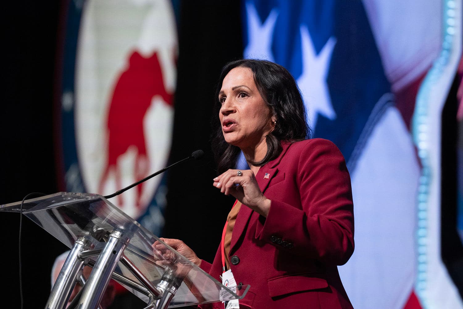 Minnesota GOP picks Lisa Demuth over Trump-backed Mike Lindell for governor against Democrat Amy Klobuchar