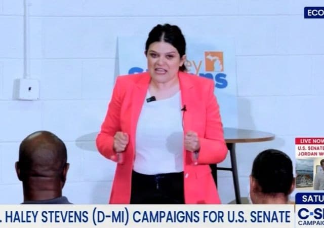 MI Democratic Senate Poll: Stevens Up Big With Black Voters, El-Sayed Backed by White Leftists