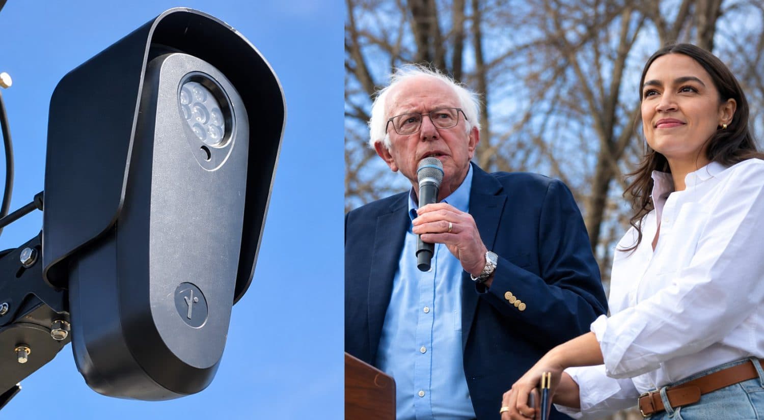 Bernie Sanders, AOC, and Jeff Merkley Just Introduced the Ban Flock Act
