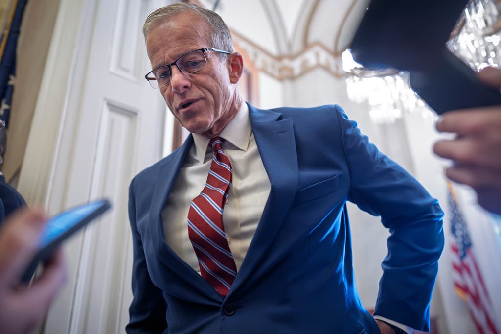 Thune says Iran war trumps 'everything else' in midterm warning to Republicans