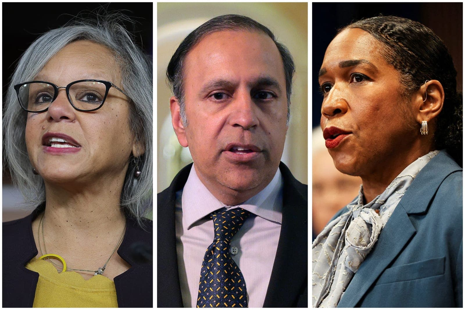 Democrats joust over ICE, Trump donors in Illinois Senate primary