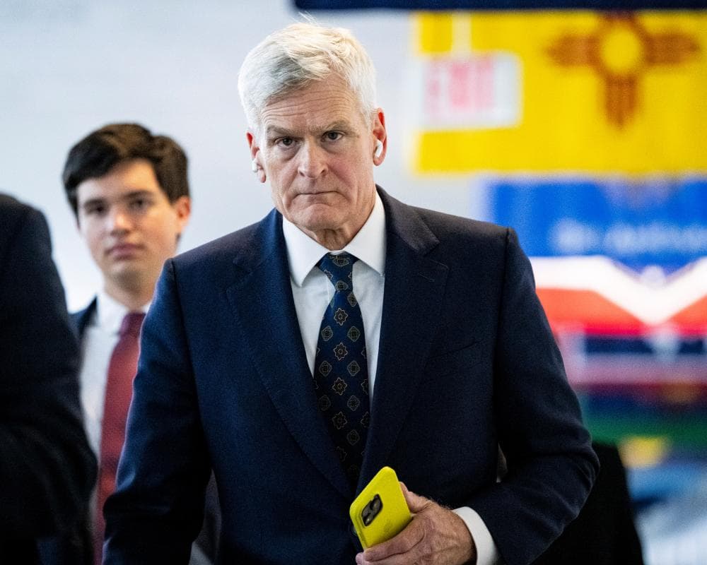 Bill Cassidy accuses Trump of treating Congress as 'merely an appendage'
