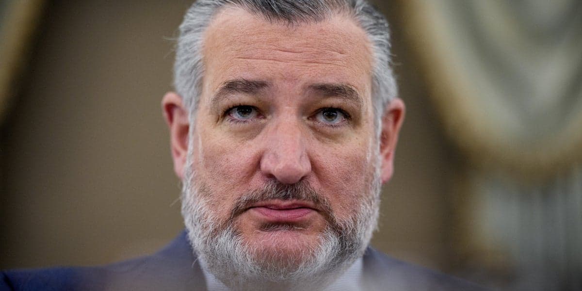 Ted Cruz Is Already Asking People To Work On 2028 Presidential Campaign: Report