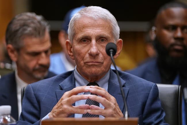 What They Found on Fauci's Phone Should Alarm Every Pregnant Woman Who Took the COVID Shot