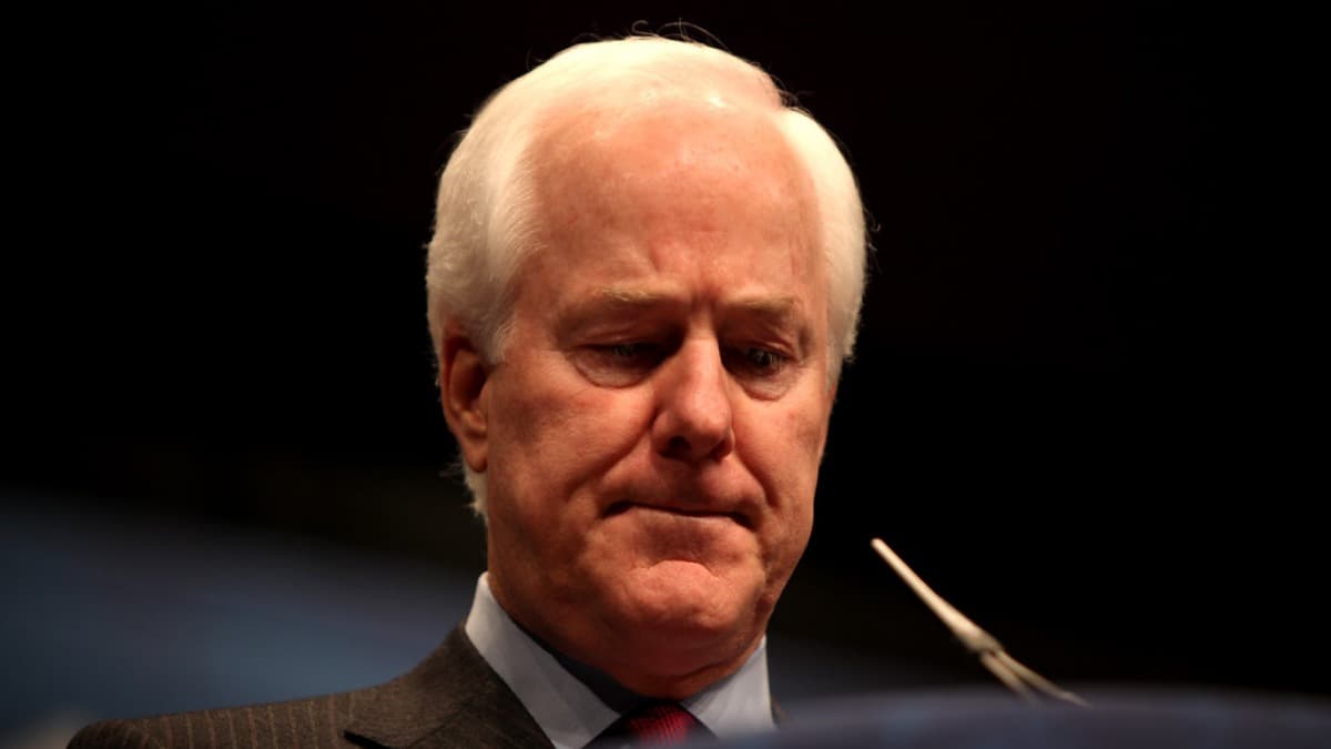 John Cornyn has shared a fable of frog and scorpion after Texas primary loss, and it might ring true for many of his GOP colleagues