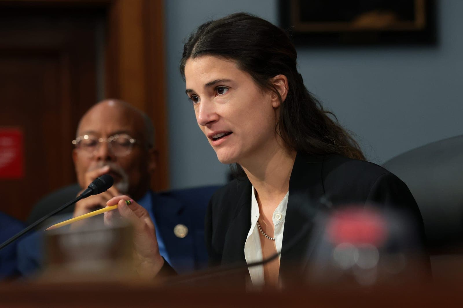 So Moderate Democrats Are Just Going to Let MAGA Rig the Midterms, Huh?