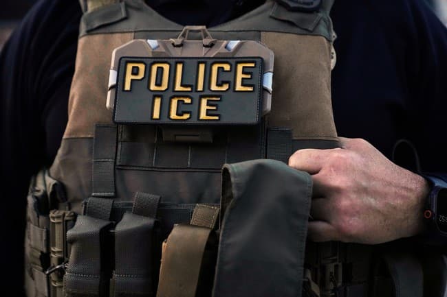 DeSantis Is Enforcing the Law, but Rep. Salazar Is Selling Amnesty With a Sad Face.