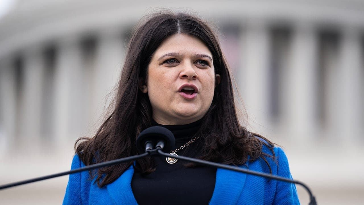 Left-wing activists heckle pro-Israel Democrat Haley Stevens at Michigan convention