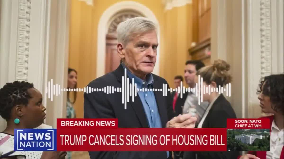 Sen. Cassidy And Trump Got In A Shouting Match Over Iran