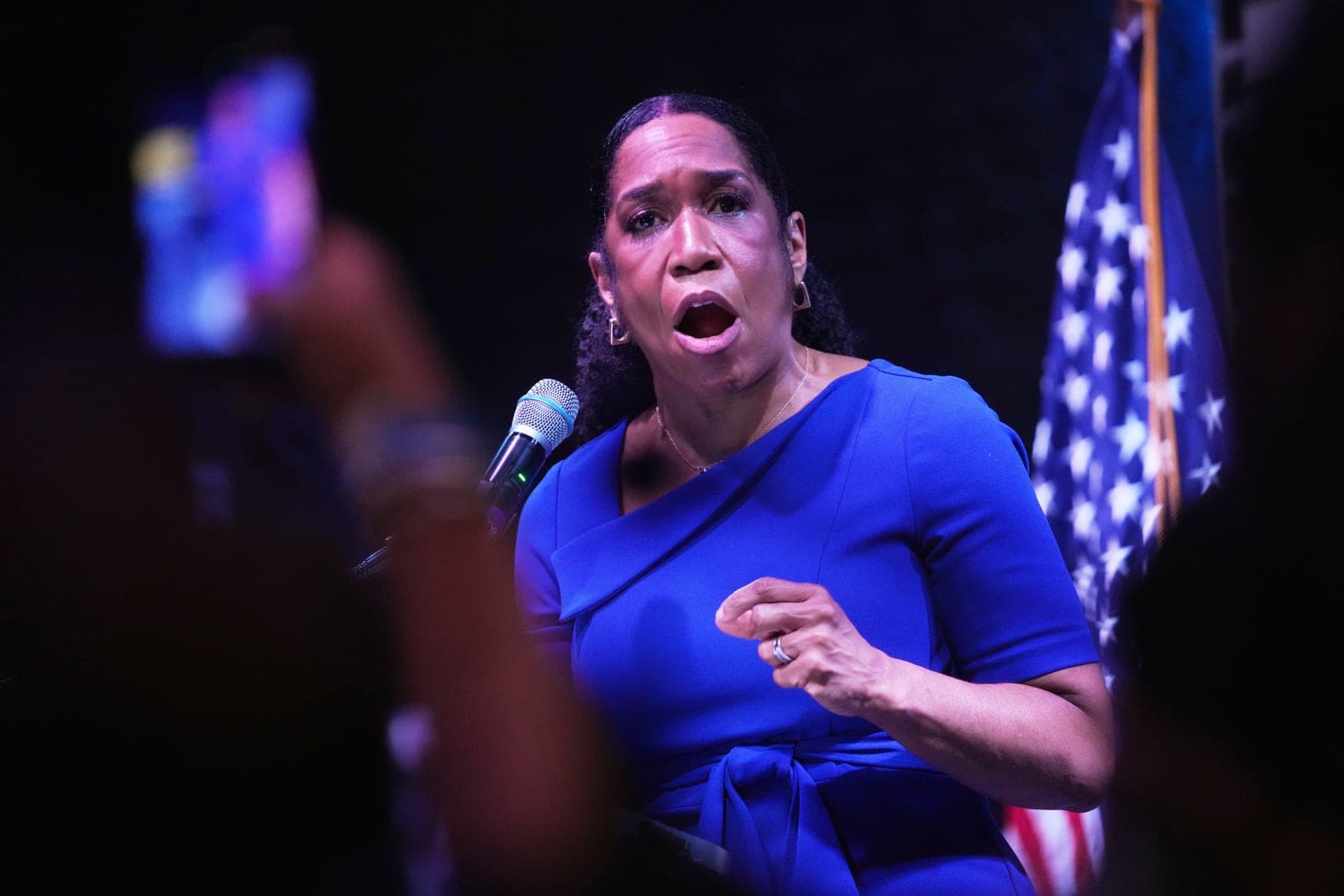 Takeaways from the Illinois primary elections