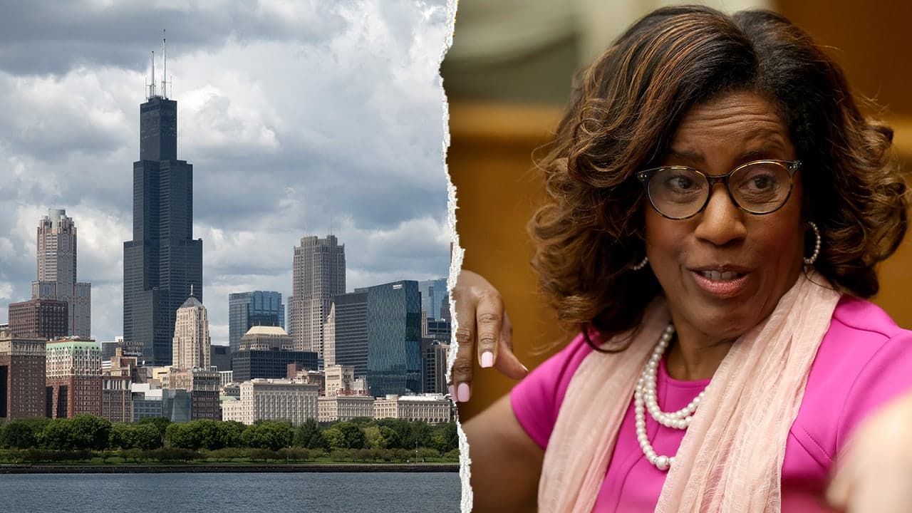 Donna Miller beats Jesse Jackson Jr. in Illinois Democratic primary