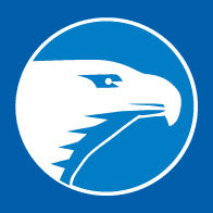 The Wichita Eagle logo